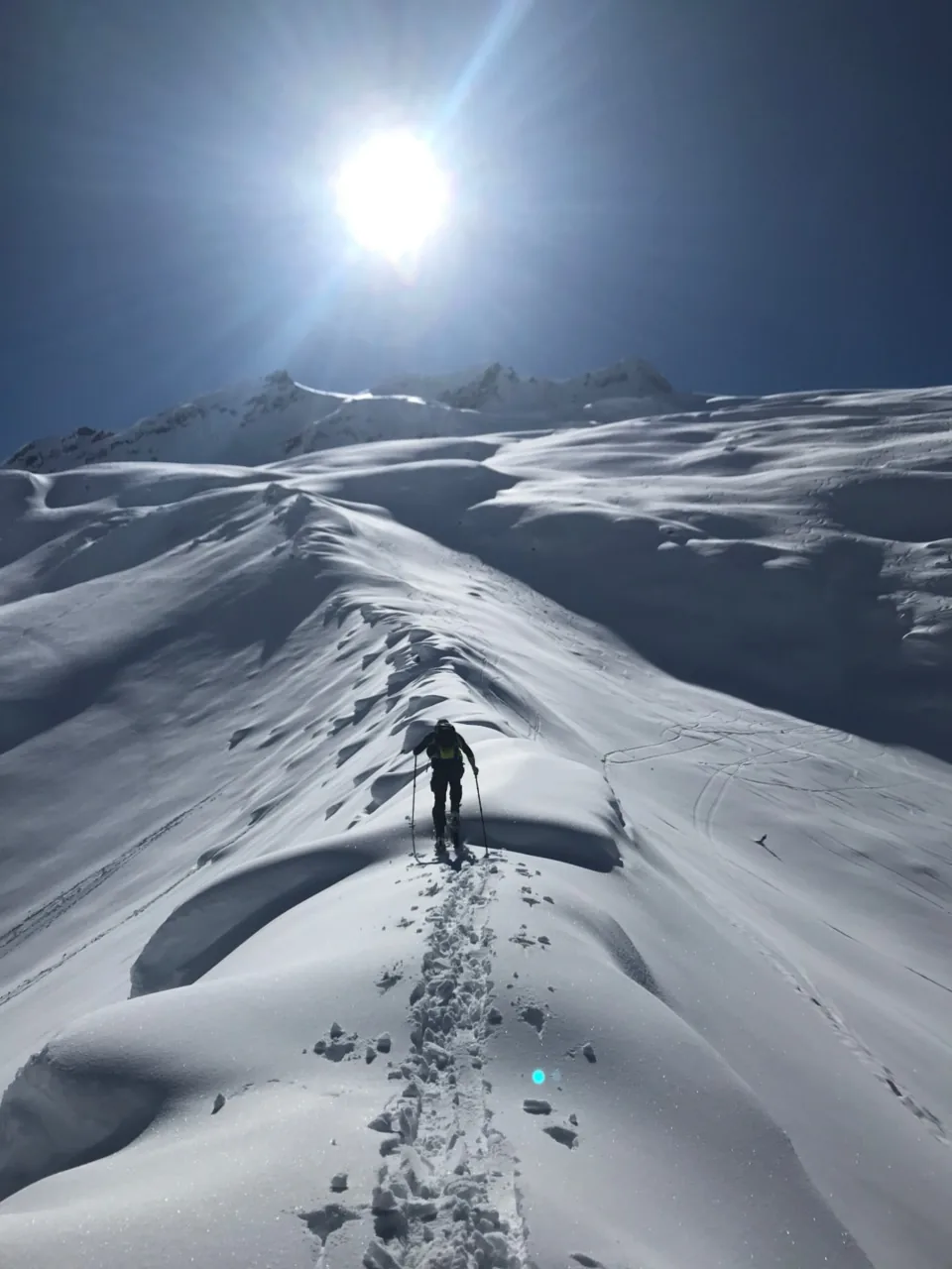 Ski touring in Rogers Pass with Dale Tiessen